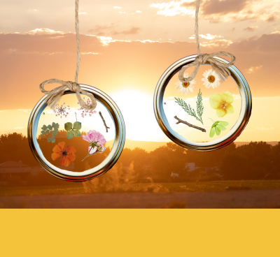 Nature Suncatchers